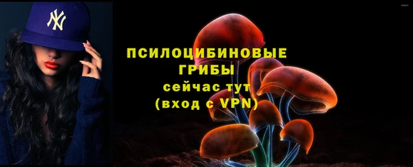 герыч Сатка